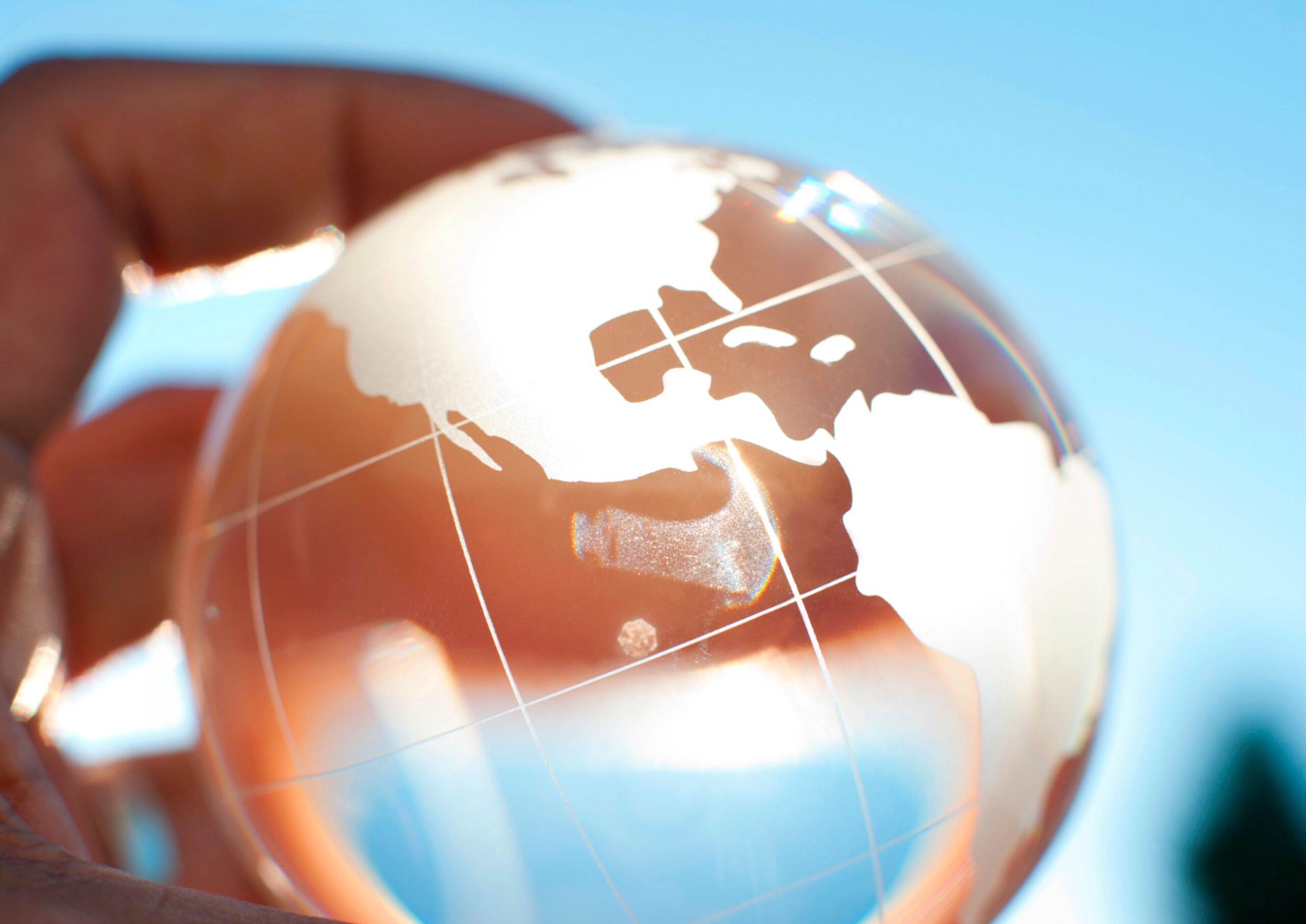 internacional servid