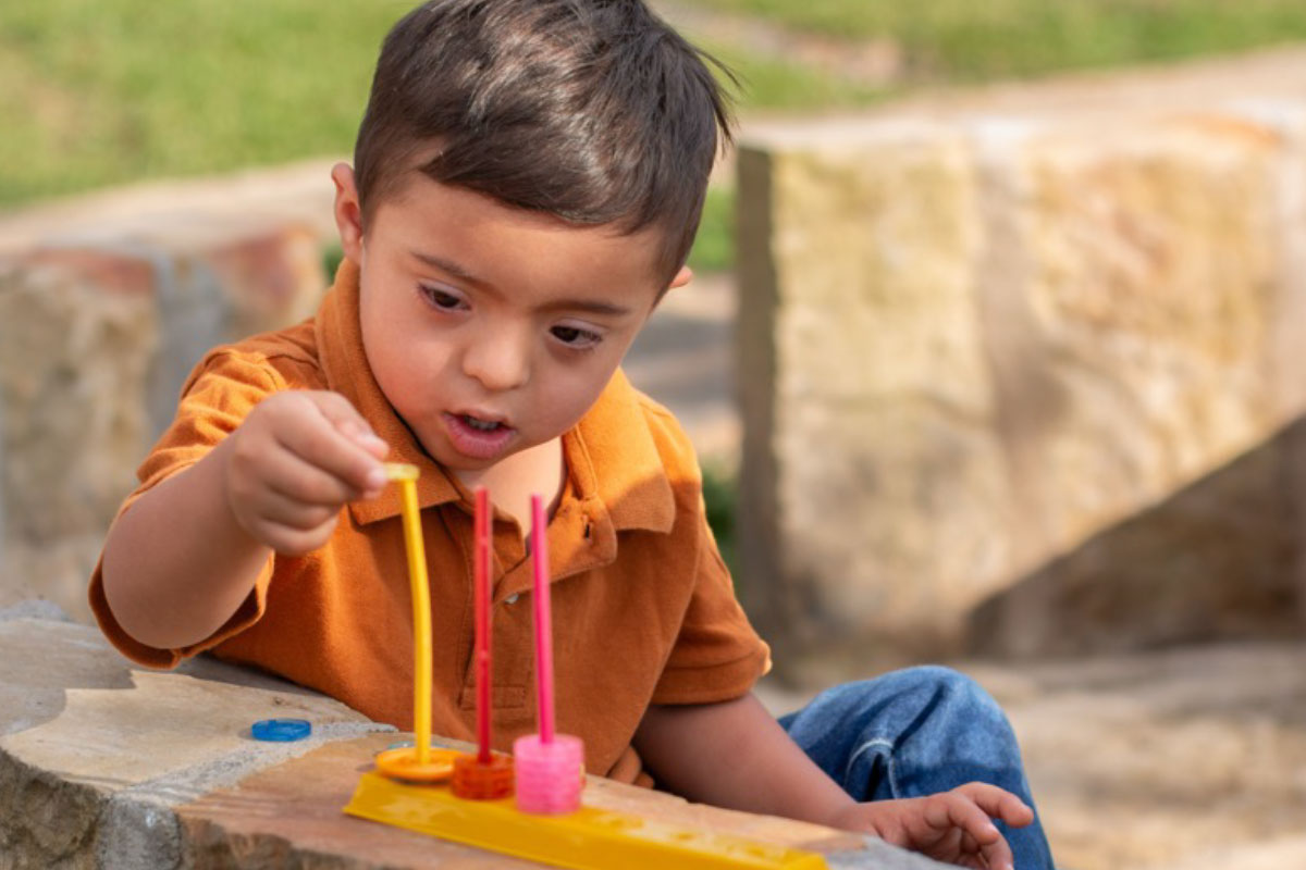 ¿Qué es el Discapacidad Intelectual